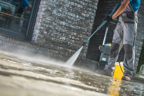 Best Gutter Cleaning  in Louisa, VA