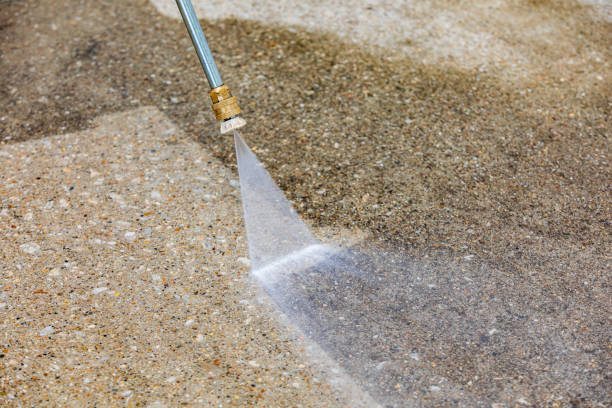 Best Dumpster Area Cleaning  in Louisa, VA