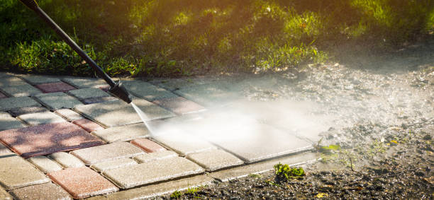 Best Soft Washing  in Louisa, VA